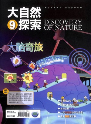 大自然探索